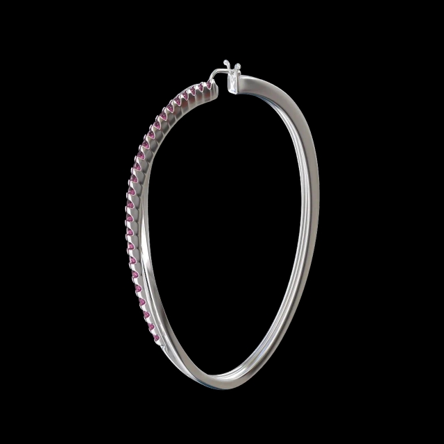 Elegant Hoop Earrings