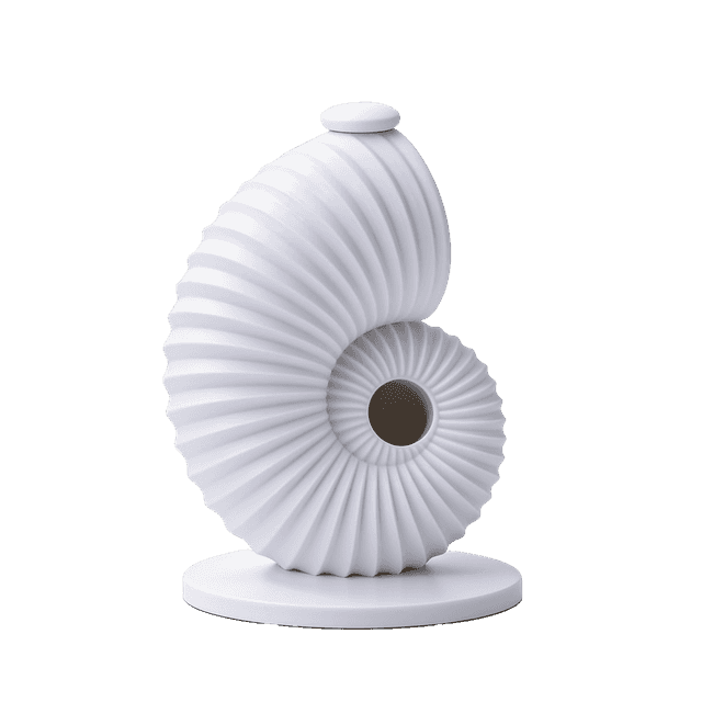 Shell Spiral Decor 